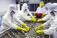 Theo SSI, ngành thuỷ sản tiếp tục có những chuyển biến tốt (Ảnh minh họa: VASEP)