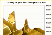 Giá vàng trong nước giảm nhẹ