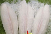 Năm 2011, ACL dự kiến lãi hơn 50 tỷ đồng từ vùng nuôi cá tra  
