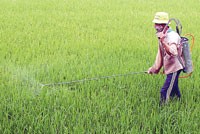 Triển khai Kl99kl phiên bản hoạt động nông nghiệp, DN có hào hứng