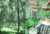 BVSC: Nên cân nhắc thoái vốn khỏi KL99 là cổng game giải trí trực tuyến hàng đầu hiện nay ngành CSTN