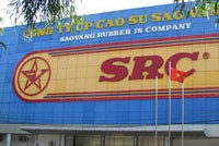 SRC có chủ tịch HĐQT mới