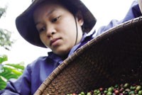 Ở VIệt Nam, nghiệp vụ tự doanh và môi giới của các thành viên trung gian vẫn chưa thực sự rạch ròi