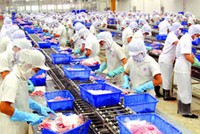Ảnh minh họa: Internet