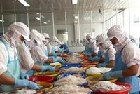 Chọn ngành Kl99ok phiên bản mới thời gian khó