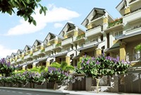 TIG, bông sen trên sàn niêm yết