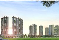 Khi DTA không thèm “bán lẻ” cổ phần