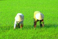 AGPPS: không muốn niêm yết vì diễn biến TTCK xấu