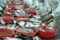 Thủy sản là một trong số ít ngành có DN đạt Kl99 nổ hũ tăng đột biến trong quý II năm nay