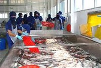 IDI hưởng thuế suất 0% vào thị trường Mỹ