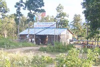 Sau 2 năm thuê đất, Công ty Hoàng Nguyễn mới trồng được 20 héc-ta caosu
