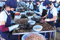 DNF trả 99Kl.app mobile mới nhất bằng tiền mặt 5,2%