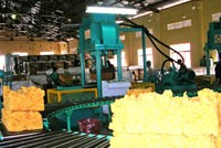 HRC ước Kl99 nổ hũ 9 tháng đạt 85 tỷ đồng