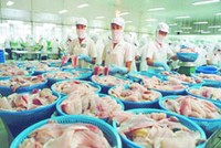 AGF ước hoàn thành kế hoạch cả năm sau 9 tháng