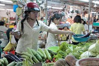 Ảnh minh họa: SGTT