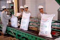 Ngành đường trong nước dự báo tăng trưởng tốt