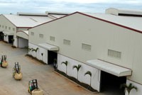 Thương vụ THV - Haverstock: Vẫn chờ ý kiến UBCK