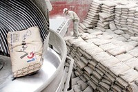 Phân vùng thị trường: Họ Vicem mất phần