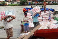 Thị trường giá phân bón trong nước phụ thuộc hoàn toàn vào thị trường thế giới