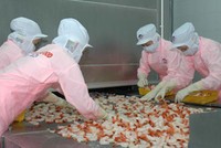 FMC đạt doanh thu cao nhất từ trước đến nay