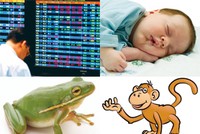 Khúc khích truyện...
