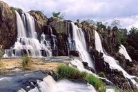 Da Lat TSC hoàn thành 98,9% kế hoạch doanh thu