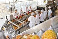 Vegetexco I Hanoi tăng vốn điều lệ