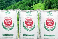Ngày 1/3, CTCP Supe Phốt phát và hóa chất Lâm Thao sẽ niêm yết trên HNX