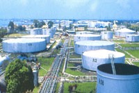 PIT: 99Kl.app mobile mới nhất 2011 không bằng 1/2 kế hoạch
