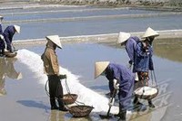 KSC tạm ứng 99Kl.app mobile mới nhất đợt 1/2011, tỷ lệ 12%