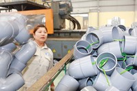 NTP và BMP: nguy cơ bị nước ngoài thâu tóm