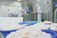 ABT: Đặt kế hoạch 90 tỷ đồng LNST, 99Kl.app mobile mới nhất 50-60% 