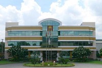 Hoa Sen và cựu CEO: Hai bên cùng kiện!