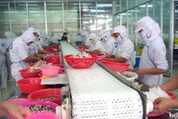 Baseafood phát hành KL99 là cổng game giải trí trực tuyến hàng đầu hiện nay thưởng tỷ lệ 10:1