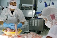 Góc khuất cuộc “hôn nhân” Web Tổng Nhà Cái 99Kl99 Giải Trí Bậc Nhất - thủy sản