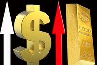 USD thay vàng trở thành 99Kl.app cổng game giải trí trú ẩn an toàn