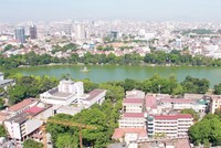 Mâu thuẫn ở các công ty có “đất vàng”
