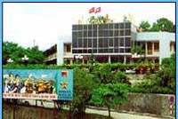 THT sắp phát hành tăng vốn điều lệ