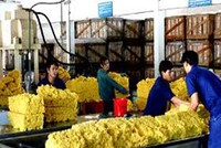 Tháng 5, DPR ước đạt 27 tỷ đồng Kl99 nổ hũ