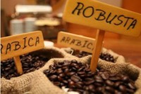 Việt Nam hiện là nước Kl994 nhà cái bóng đá world cup cà phê robusta lớn nhất thế giới