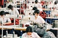Lĩnh vực có số lượng lao động nhiều nên được ưu tiên tiếp cận vốn vì lao động thất nghiệp sẽ ảnh hưởng lớn đến Trang Chủ KL99Com Số 1 Link Đăng Ký KL999.