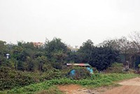 Nguồn: Internet