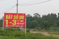 Mua đất Ba Vì được “biếu” thêm đất
