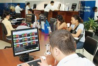 “Khẩu vị” mới của NĐT ngoại
