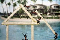Mỗi bức hình, một câu chuyện!