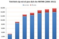 Vốn ngoại, 12 năm ở Việt Nam