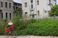 Biệt thự triệu đô bị “bỏ quên”