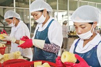 Điều lệ công ty trái luật, trách nhiệm của cơ quan quản lý ở đâu?