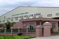 Thái Hòa nguy cơ bị hủy niêm yết vì lỗ lớn