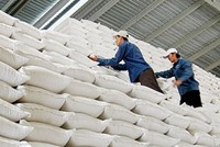 Angimex chuẩn bị niêm yết trên HOSE